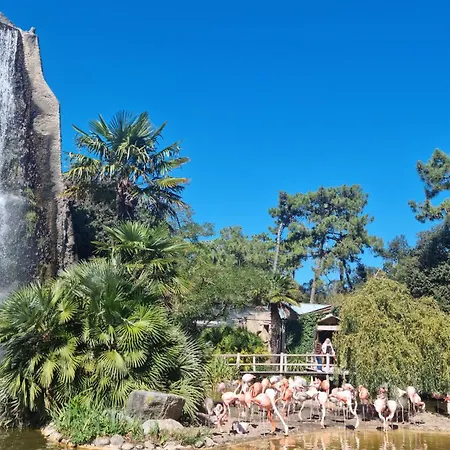 Hébergement de vacances Piscine Interieure *