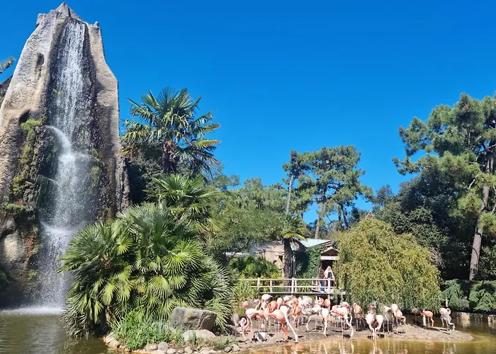 Hébergement de vacances Piscine Interieure *
